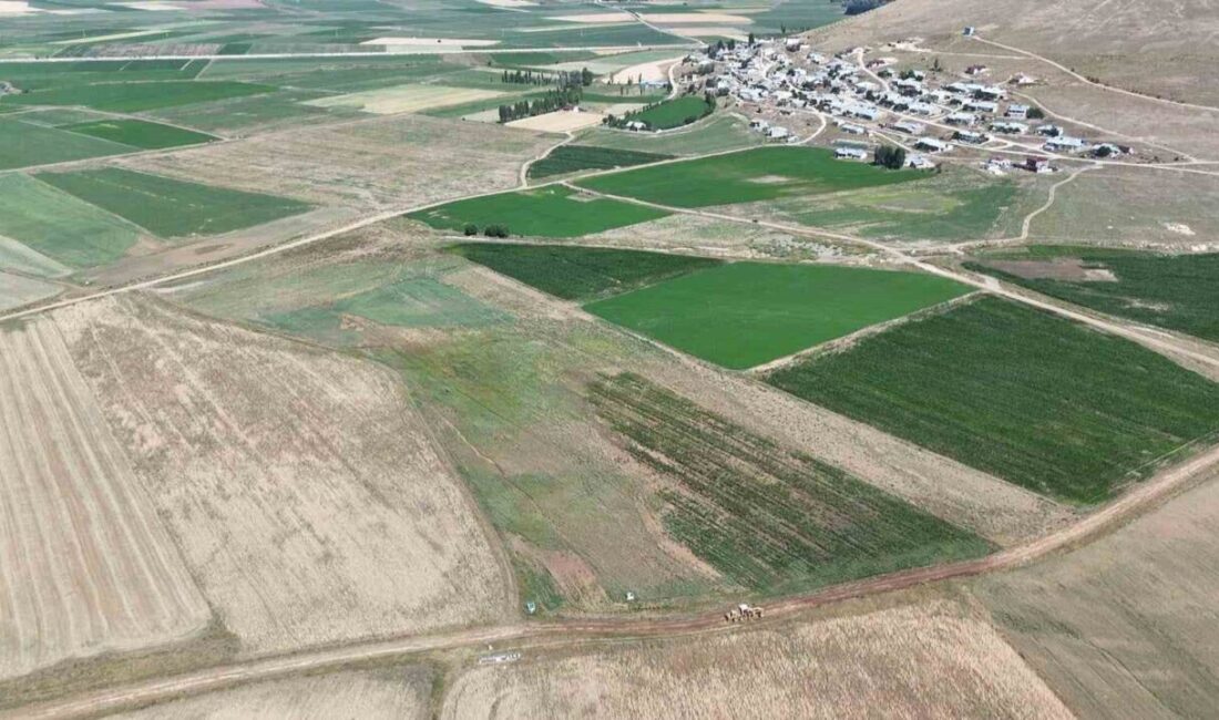 Bayburt’un Demirözü ilçesinde arazi toplulaştırma çalışmaları devam ederken, Tarla İçi