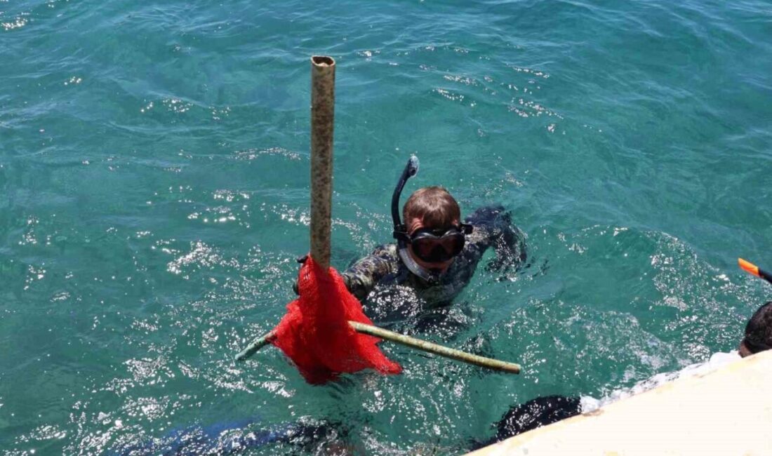 Bodrum Belediyesi tarafından on bir yıldır sürdürülen Deniz Dibi Temizliğinin