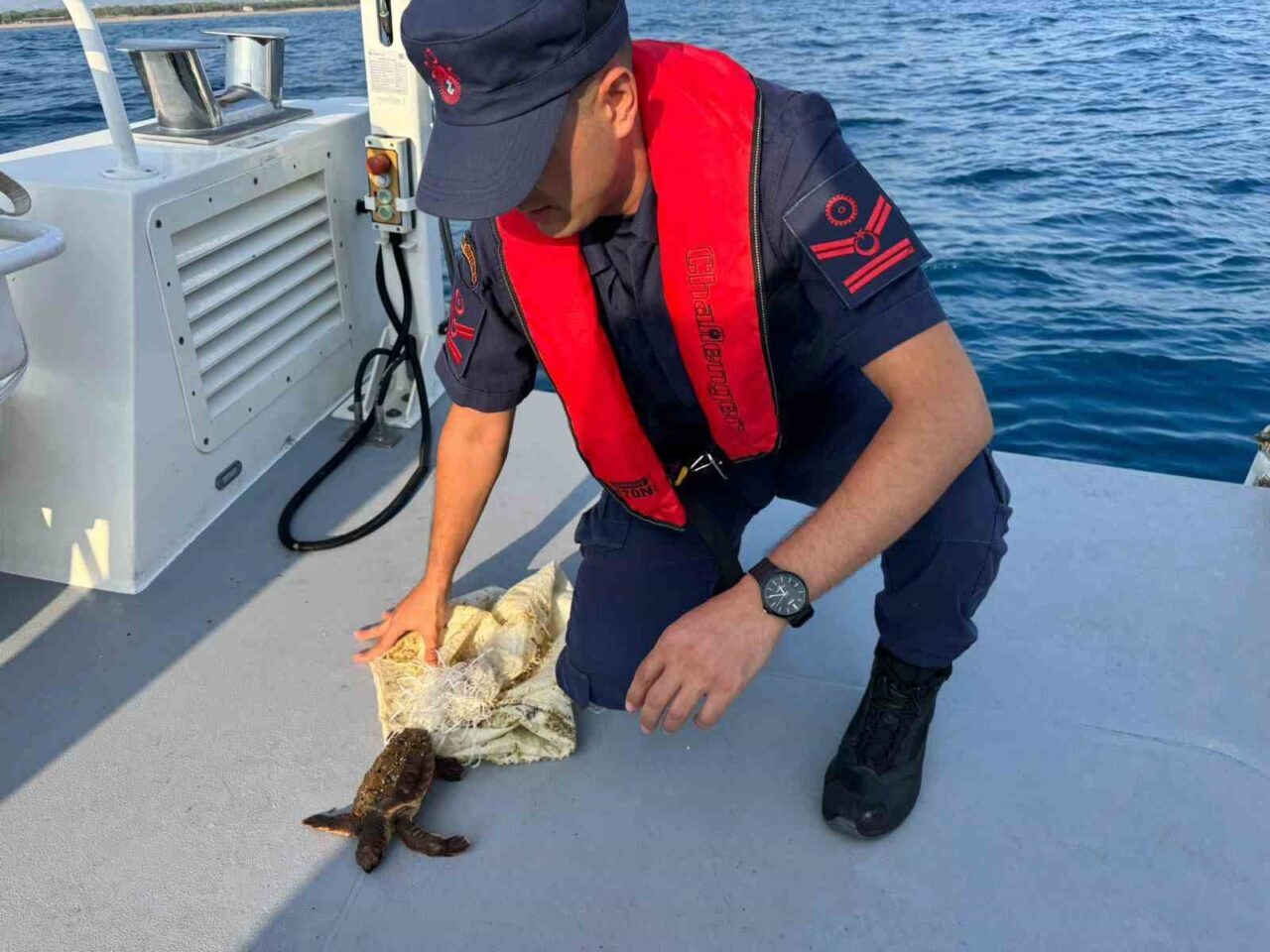 Antalya’nın Manavgat ilçesi açıklarında çuvala ayağı dolanmış halde bulunan ve