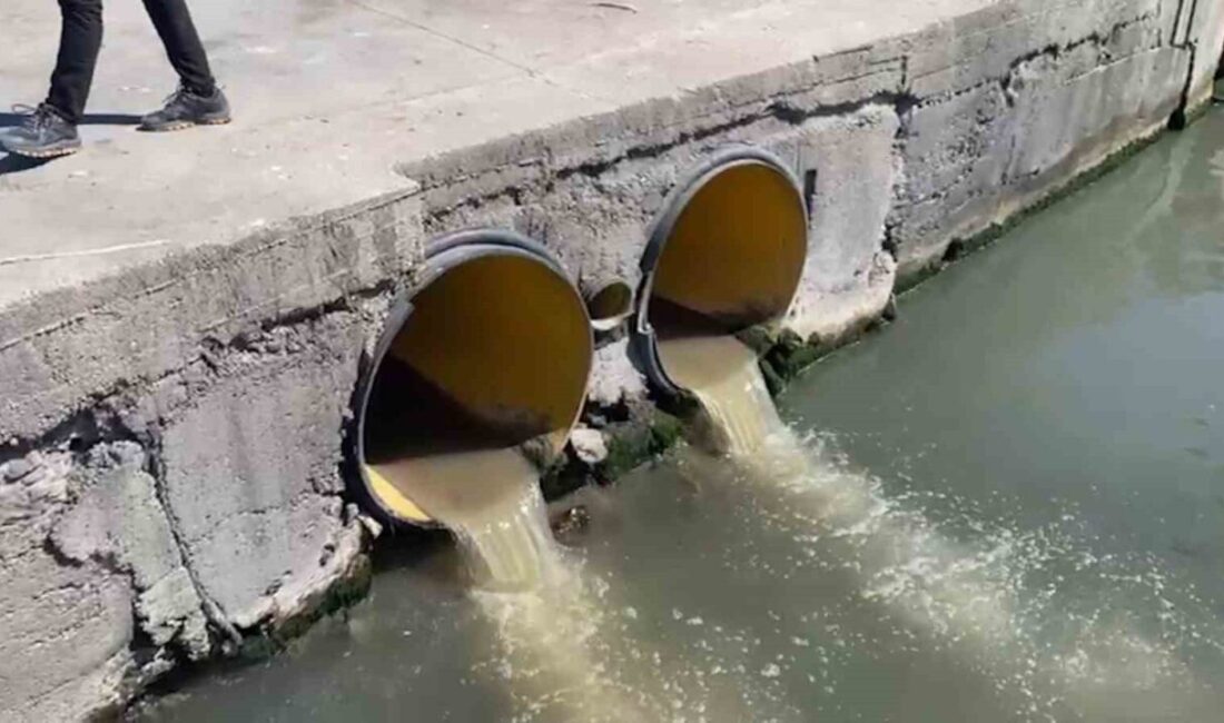 Çevre, Şehircilik ve İklim Değişikliği Bakanlığı ekipleri, Marmara Denizi Koruma