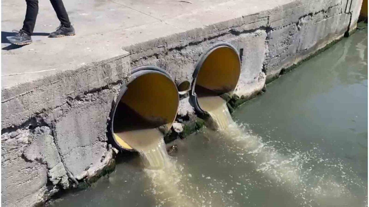 Çevre, Şehircilik ve İklim Değişikliği Bakanlığı ekipleri, Marmara Denizi Koruma