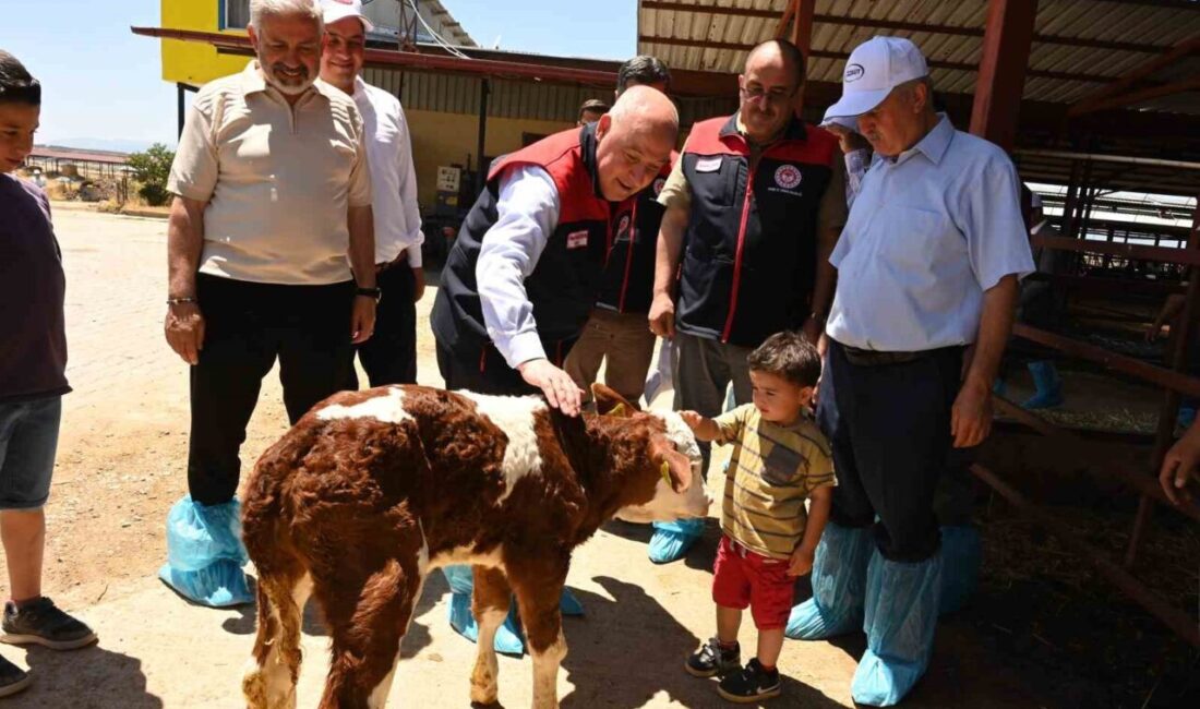 Denizli Valisi Ömer Faruk Coşkun, Türkiye’de hayvancılık sektörünün önemli illerinden