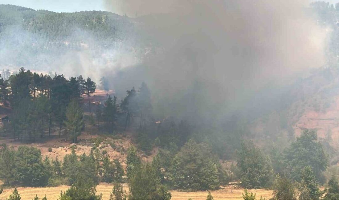 Denizli’nin Acıpayam ilçesinde ormanlık alanda başlayan yangının kontrol altına alınabilmesi