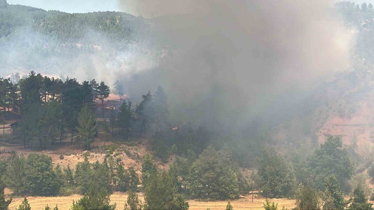 Denizli’nin Acıpayam ilçesinde ormanlık alanda başlayan yangının kontrol altına alınabilmesi