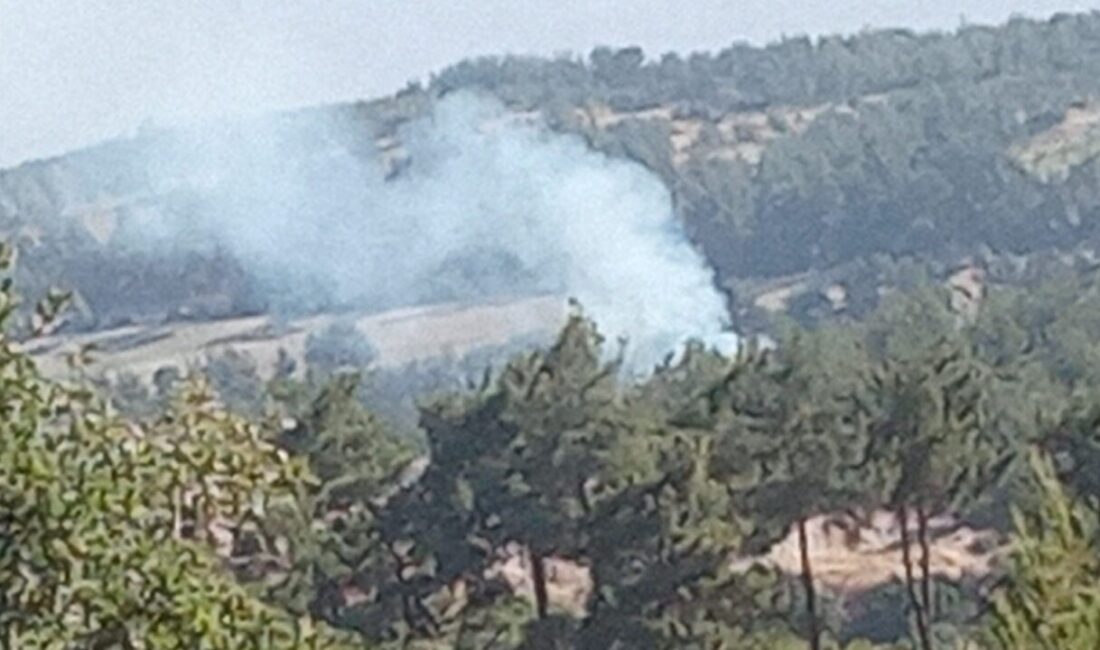 Denizli’de sabah saatlerinde ormanlık alanda yükselen dumanları fark eden köylülerin