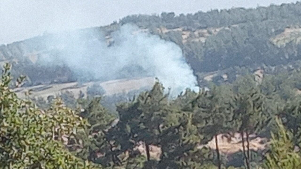 Denizli’de sabah saatlerinde ormanlık alanda yükselen dumanları fark eden köylülerin