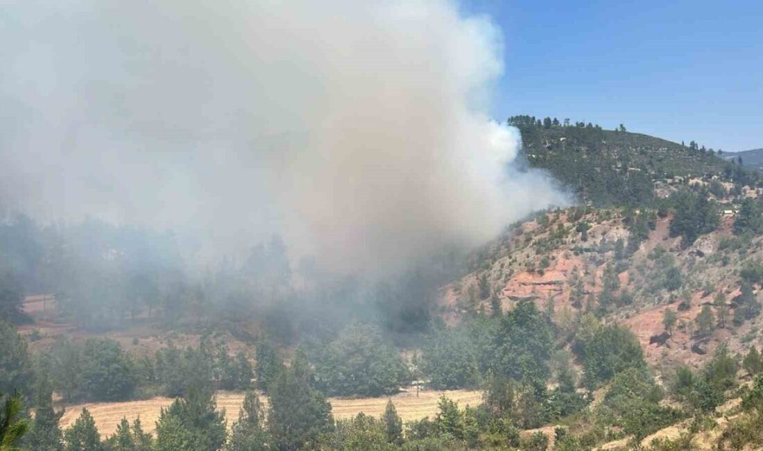 Denizli’de yanan evden ormanlık alana sıçrayan yangın havadan ve karadan
