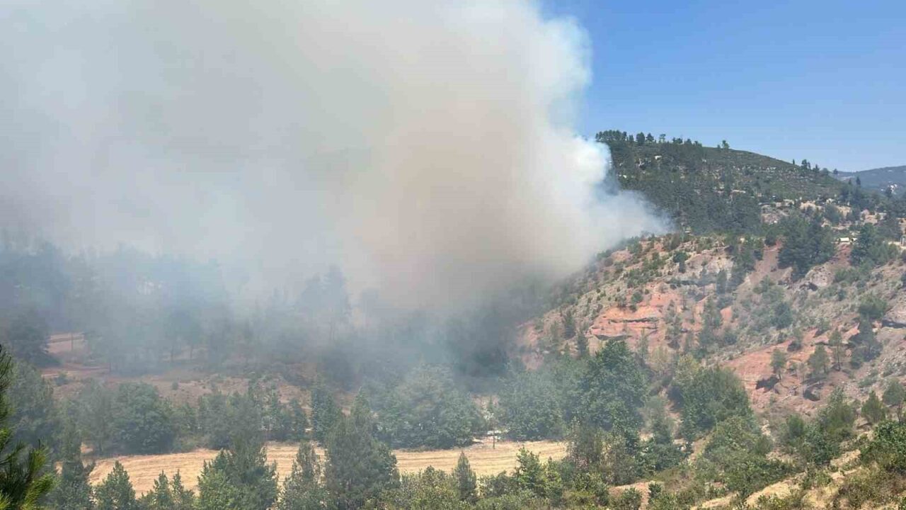 Denizli’de yanan evden ormanlık alana sıçrayan yangın havadan ve karadan