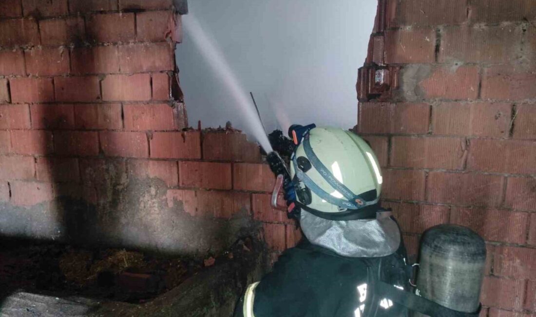 Batman’ın Sason ilçesinde iki katlı bir evin deposunda çıkan yangın,