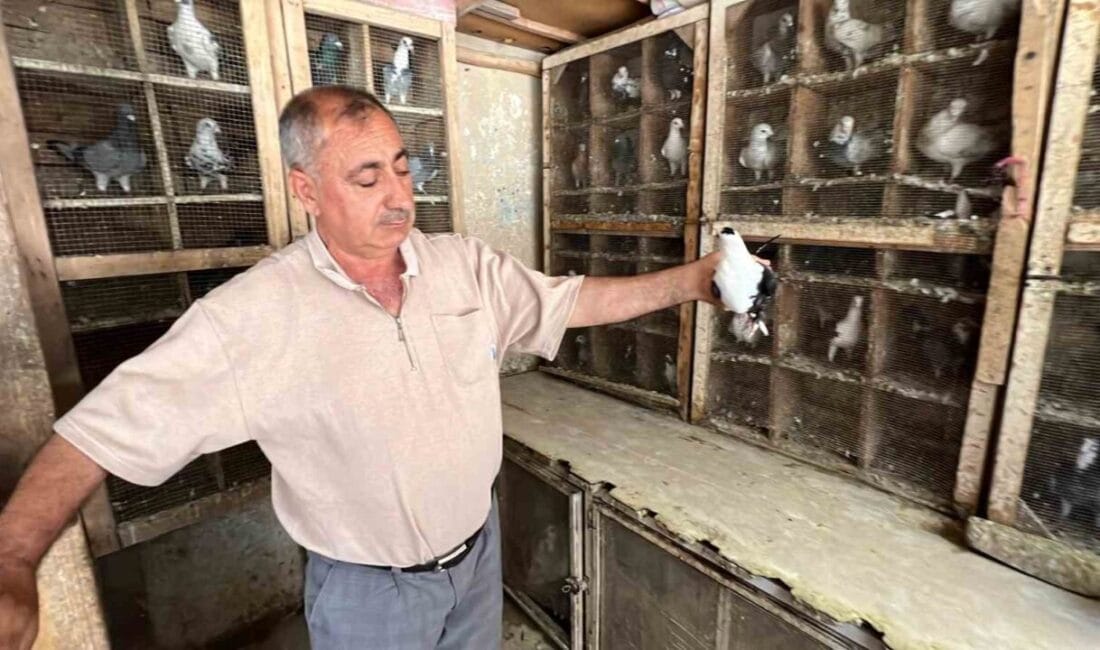 Kahramanmaraş’ta depremde evi yıkılan 65 yaşındaki Metin Alkışçı, 170 güvercinini
