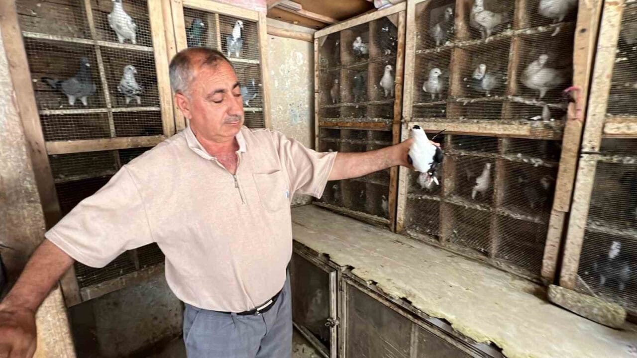 Kahramanmaraş’ta depremde evi yıkılan 65 yaşındaki Metin Alkışçı, 170 güvercinini