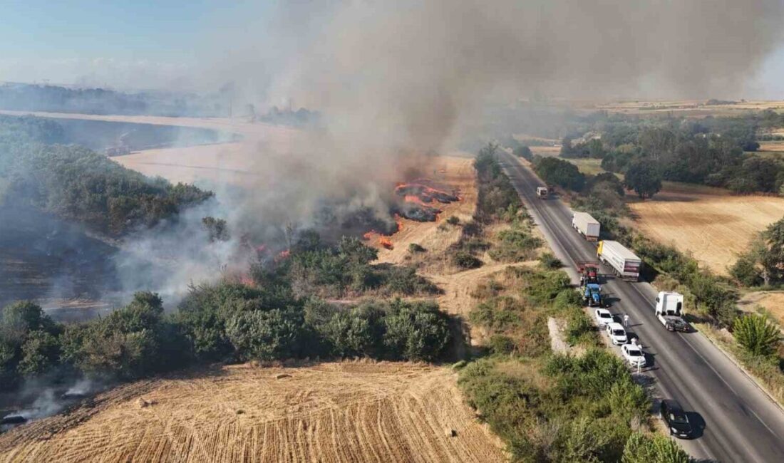 Edirne’deki orman yangının Hamzabeyli Sınır Kapısı yoluna sıçramasıyla yol trafiğe