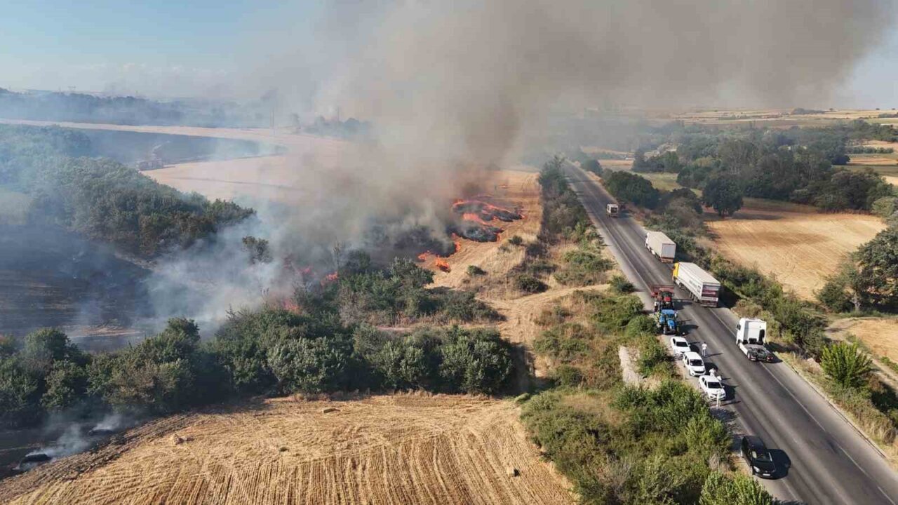 Edirne’deki orman yangının Hamzabeyli Sınır Kapısı yoluna sıçramasıyla yol trafiğe