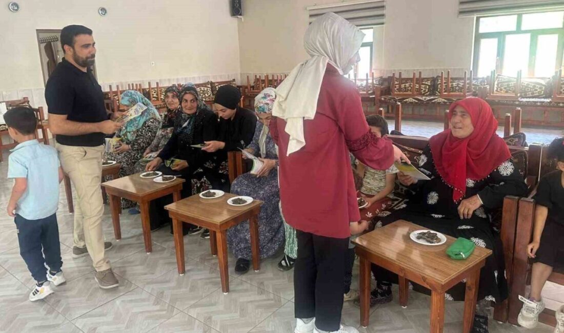 Dicle Elektrik, enerji verimliliği ve tasarruf bilincini kırsal bölgelere taşımak