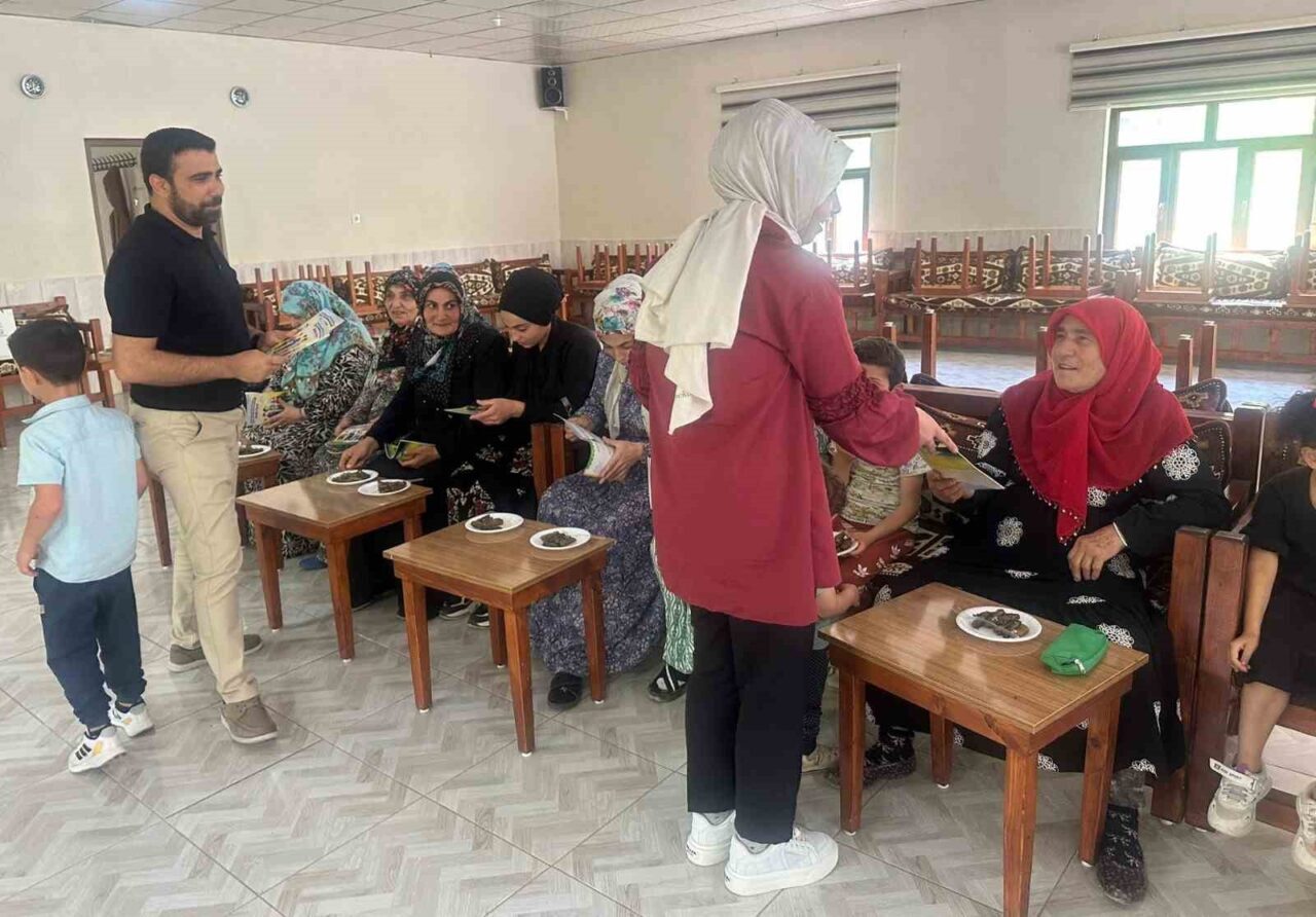 Dicle Elektrik, enerji verimliliği ve tasarruf bilincini kırsal bölgelere taşımak