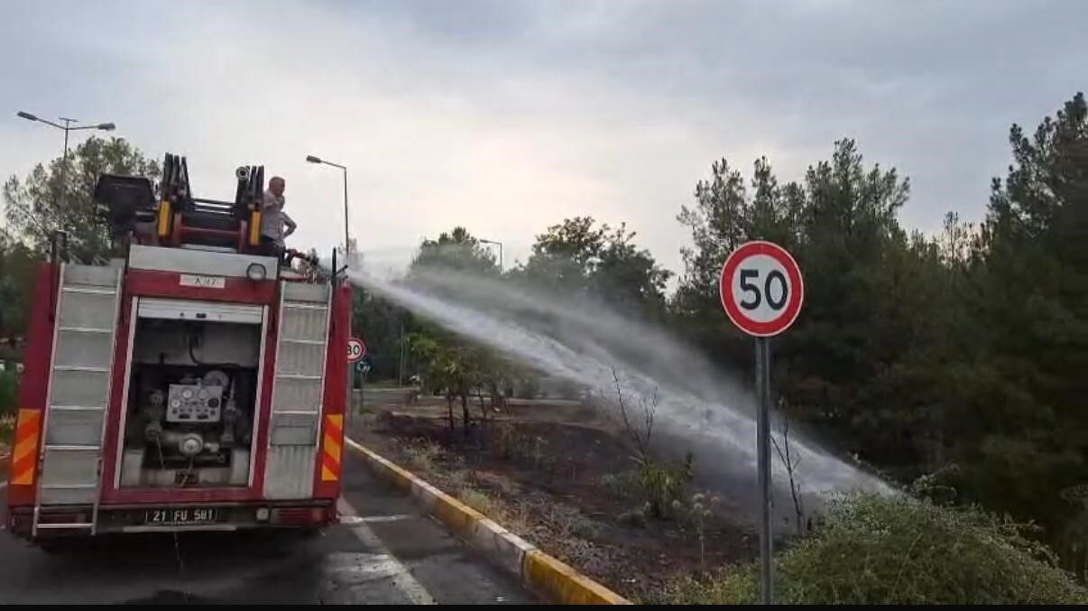 Diyarbakır’da, Dicle Üniversitesi (DÜ) kampüsünde çıkan örtü yangını, itfaiye ekipleri