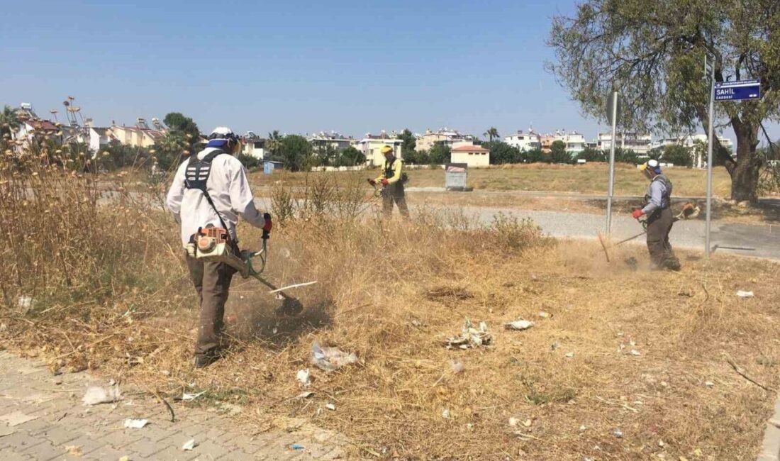 Didim Belediyesi Park ve Bahçeler Müdürlüğü ekipleri, kent genelinde yaz