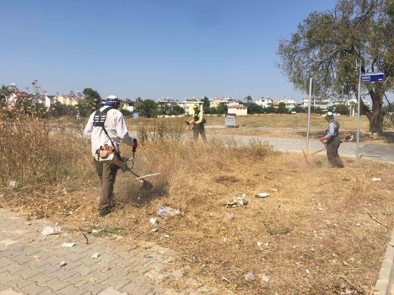 Didim Belediyesi Park ve Bahçeler Müdürlüğü ekipleri, kent genelinde yaz