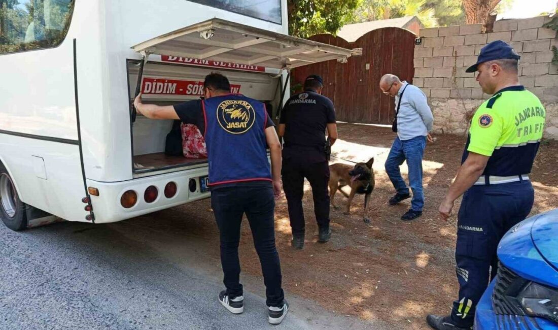 Aydın’ın Didim ilçesinde jandarma ekipleri tarafından yapılan uygulamalar kapsamında 17
