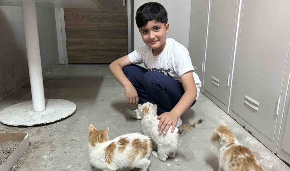 Ağrı’nın Diyadin ilçesinde, Gençlik ve Spor İlçe Müdürlüğü bünyesindeki öğrenciler,