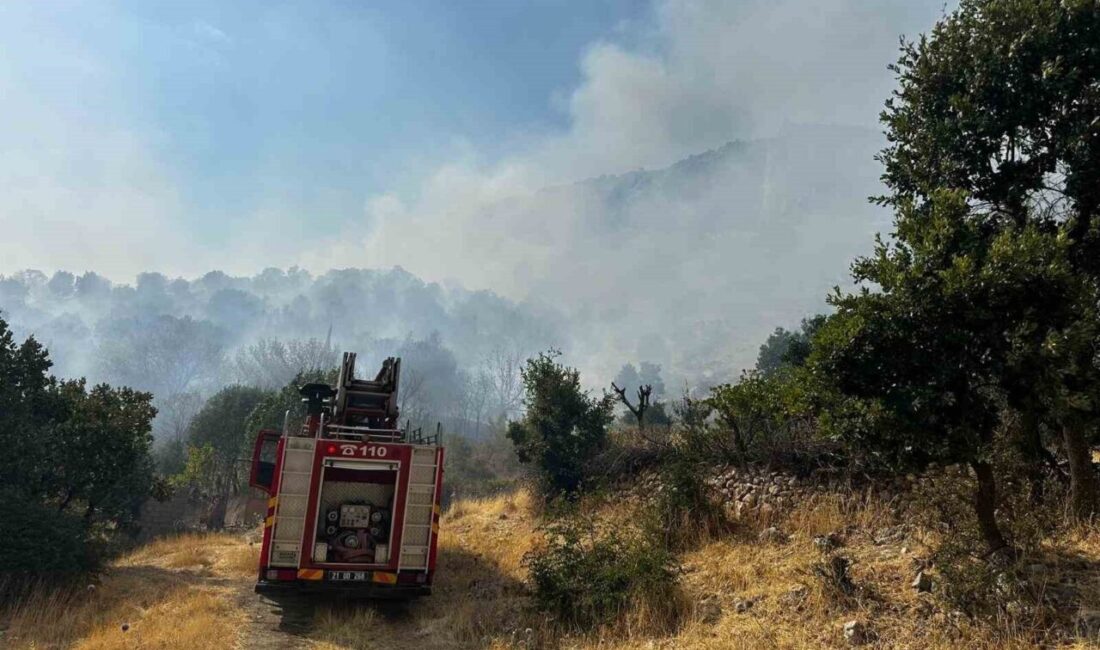 Diyarbakır’ın Lice ilçesinde çıkan orman yangınına 9 saattir helikopter desteğiyle