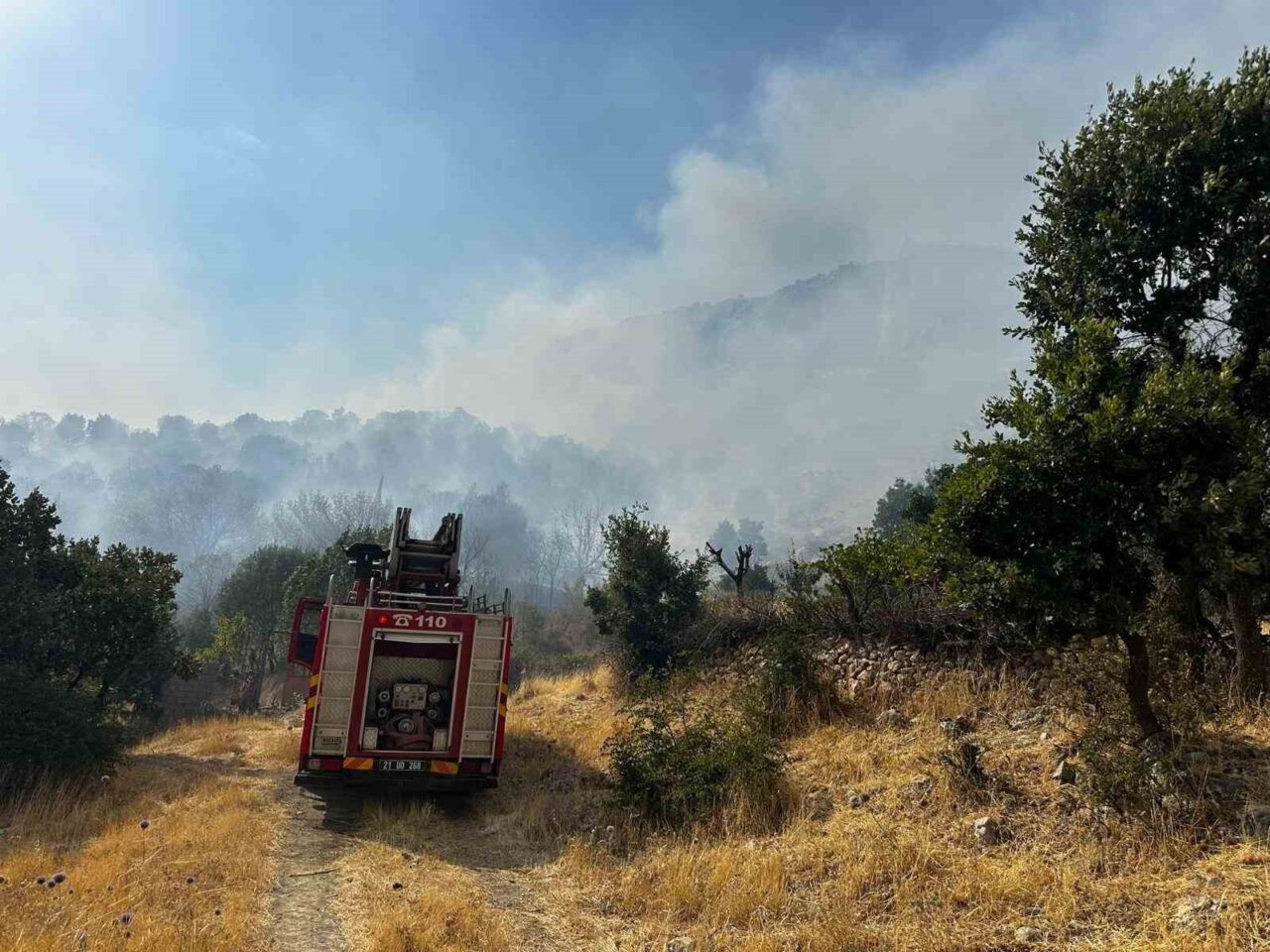 Diyarbakır’ın Lice ilçesinde çıkan orman yangınına 9 saattir helikopter desteğiyle