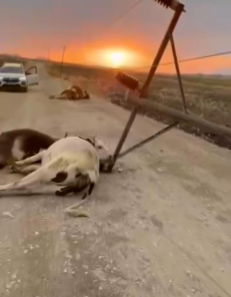 Diyarbakır’ın Lice ilçesinde fırtına yüzünden devrilen elektrik direği, buradan geçmekte