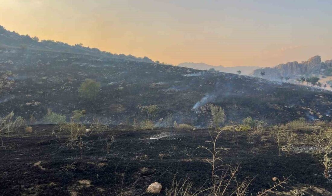 Diyarbakır’ın Ergani ilçesinde merada çıkan yangın, ormanlık alana sıçradı. Kontrol