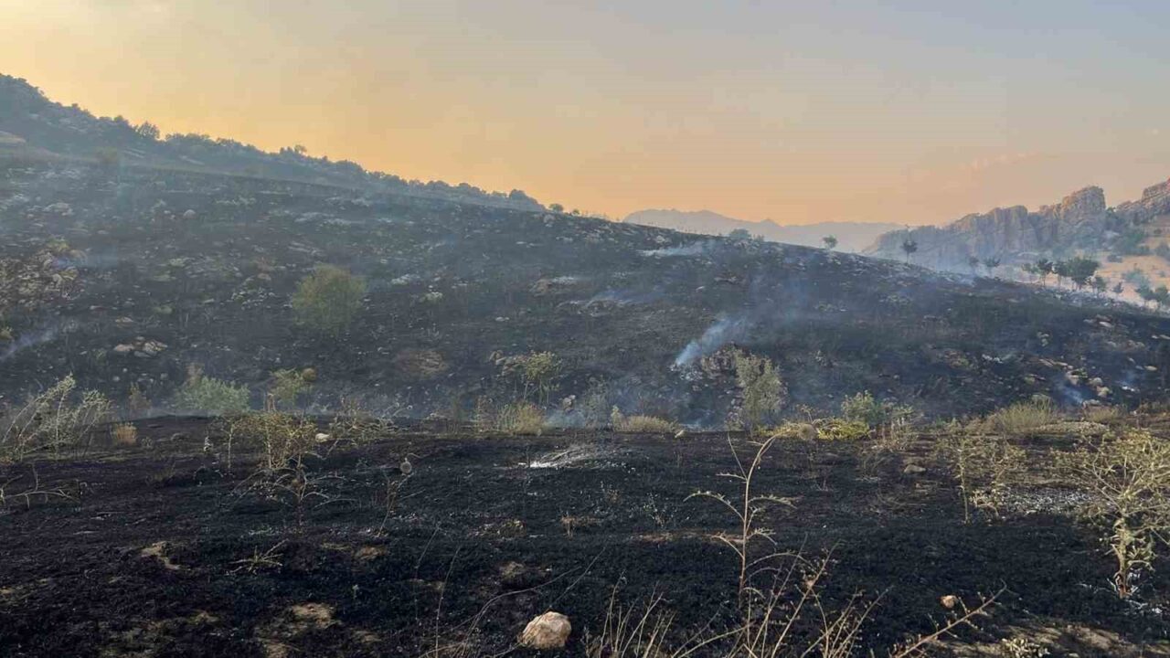 Diyarbakır’ın Ergani ilçesinde merada çıkan yangın, ormanlık alana sıçradı. Kontrol