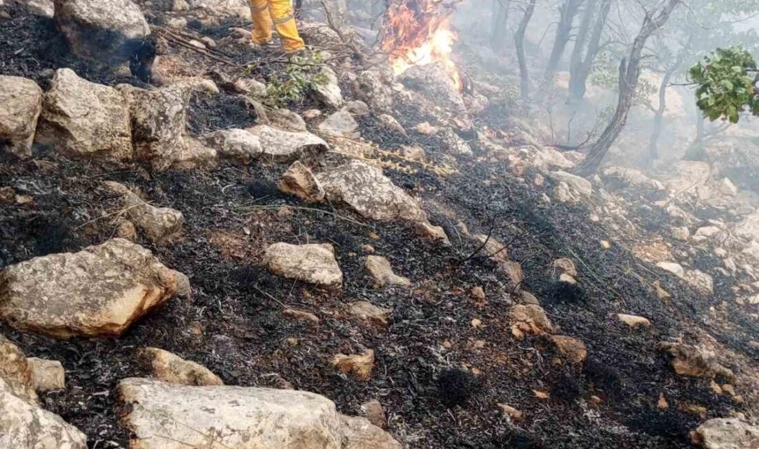 Diyarbakır’ın Lice ilçesinde çıkan orman yangına helikopter destekli müdahale devam