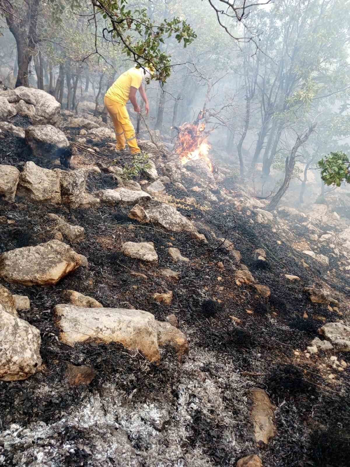 Diyarbakır’ın Lice ilçesinde çıkan orman yangına helikopter destekli müdahale devam