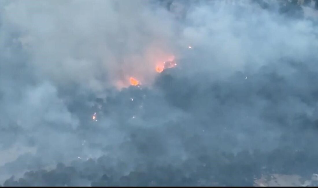 Diyarbakır’ın Lice ilçesinde ziraat arazisinde başlayıp ormanlık alana sıçrayan yangın,