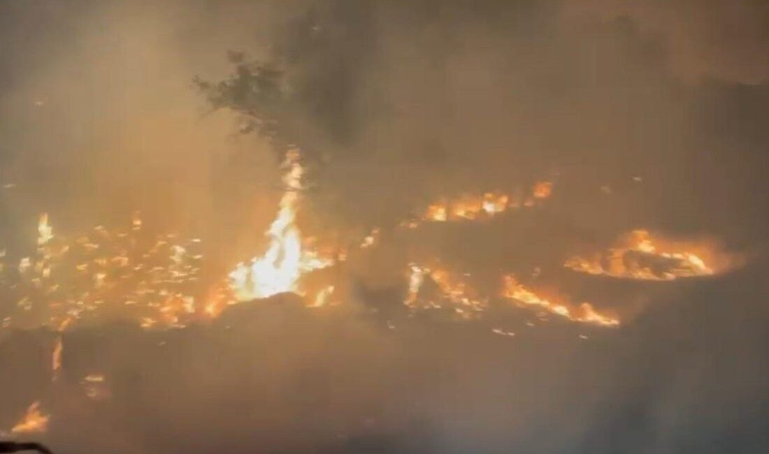 Diyarbakır’ın Ergani ve Lice ilçelerinde meydana gelen yangınlar söndürüldü. Ergani