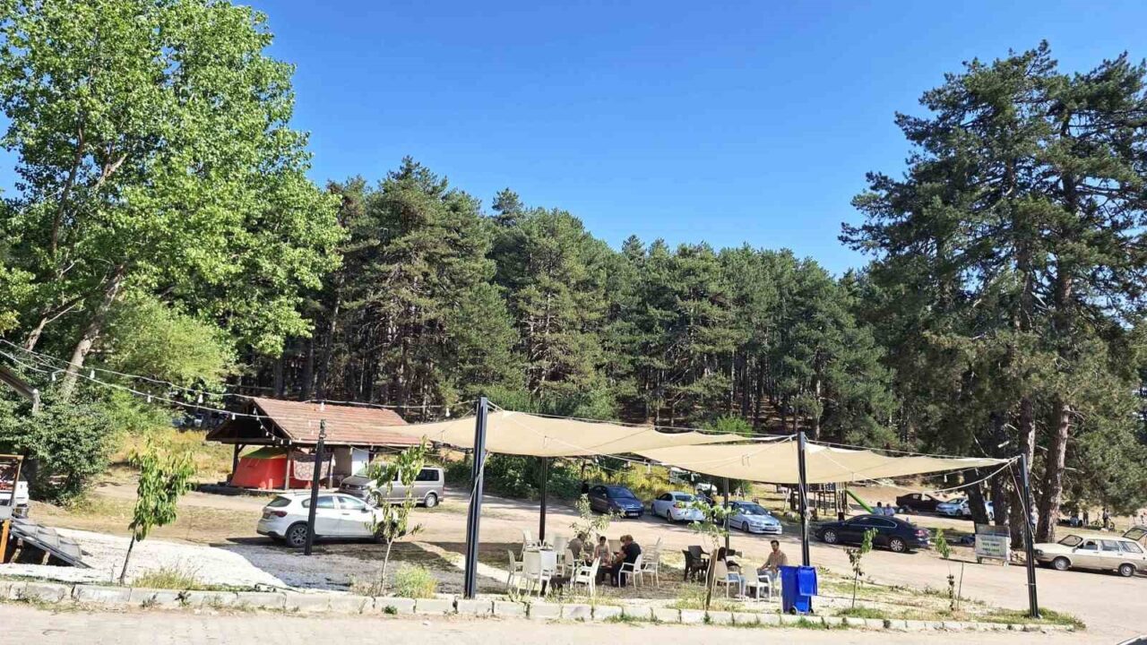 Kütahya’nın Simav ilçesine 15 kilometre uzaklıkta bulunan doğal güzelliklere sahip