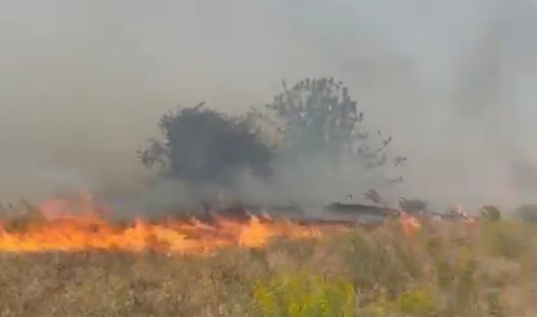 Malatya’nın Doğanyol ilçesinde bir bahçede çıkan yangın, itfaiye ekipleri tarafından