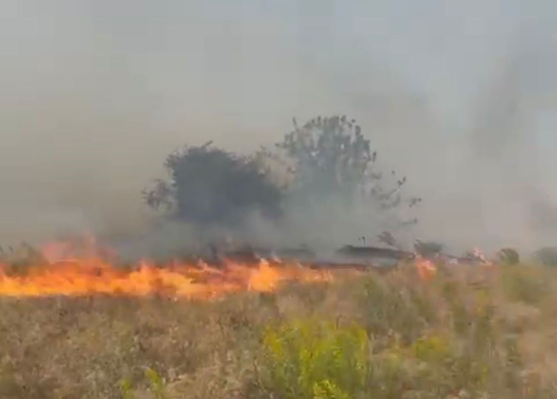 Malatya’nın Doğanyol ilçesinde bir bahçede çıkan yangın, itfaiye ekipleri tarafından