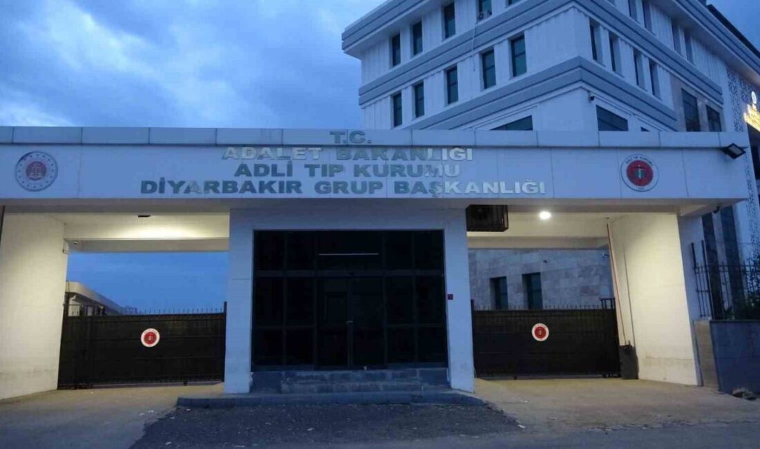 Diyarbakır’ın merkez Yenişehir ilçesinde ailesiyle doğum günü kutlamasından dönen kadın,