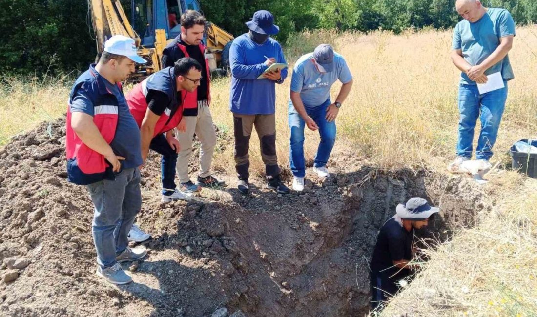 Kütahya’nın Domaniç ilçesinde Türkiye İklim Akıllı ve Rekabetçi Tarımsal Büyüme