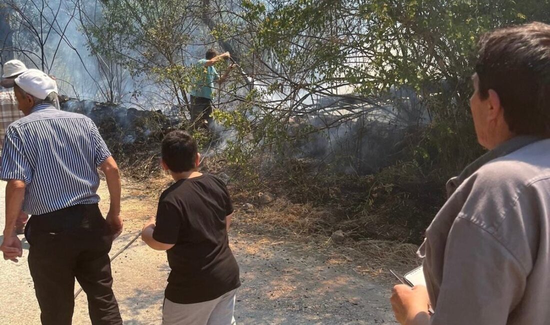 Kütahya’nın Domaniç ilçesine bağlı Saruhanlar ve Böçen köyleri arasında bulunan