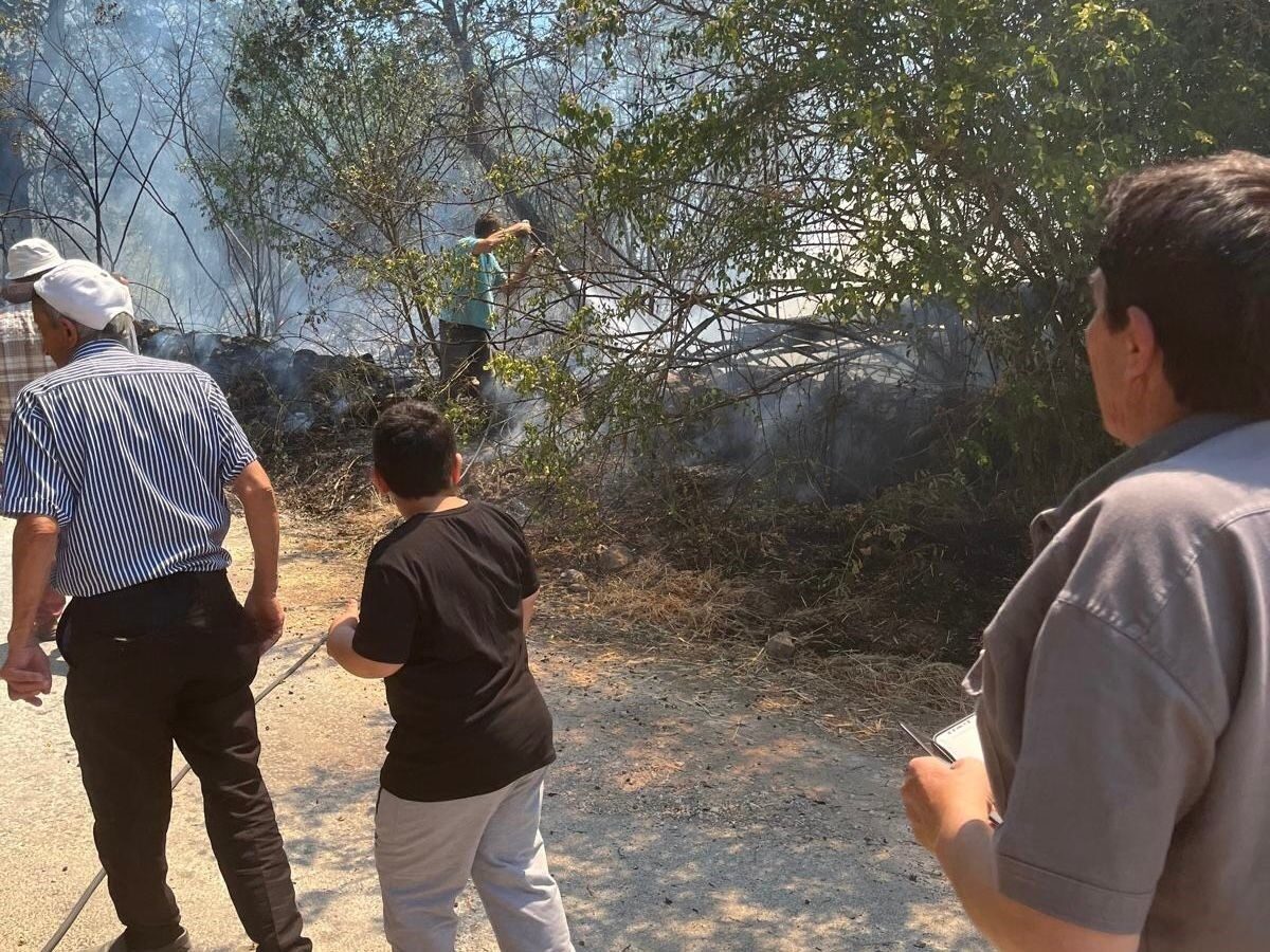 Kütahya’nın Domaniç ilçesine bağlı Saruhanlar ve Böçen köyleri arasında bulunan