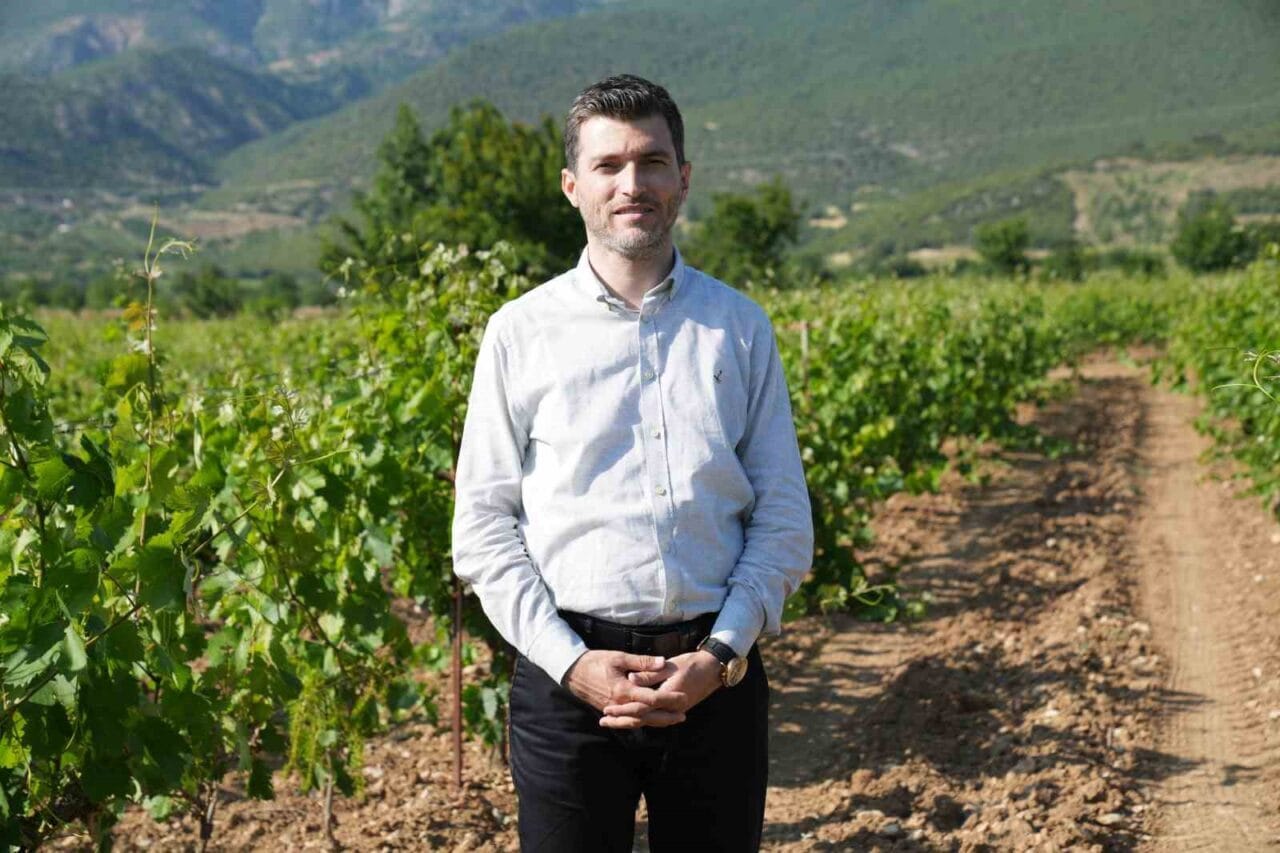 Tokat’ın Erbaa ilçesinde Narince bağ yaprağından bu sezon 2 milyar