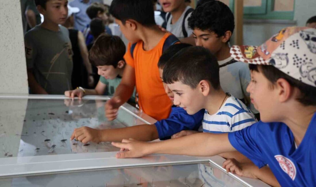 Gençlerin serbest zamanlarını verimli ve nitelikli bir şekilde değerlendirmelerini sağlamak,