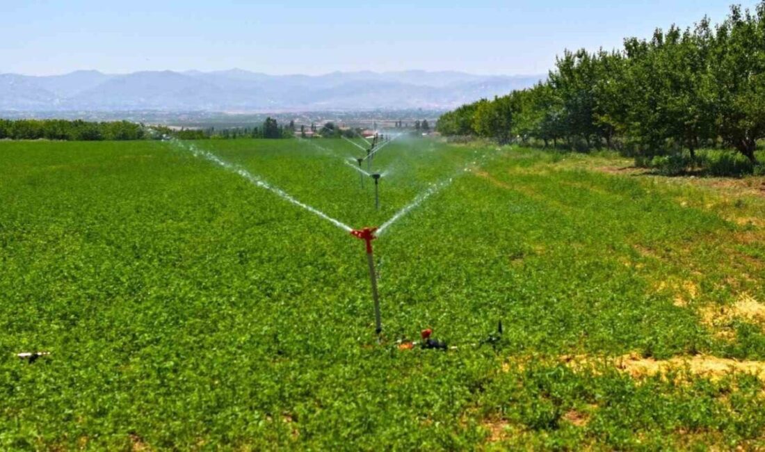 Devlet Su İşleri (DSİ) Genel Müdürü Mehmet Akif Balta, sulama