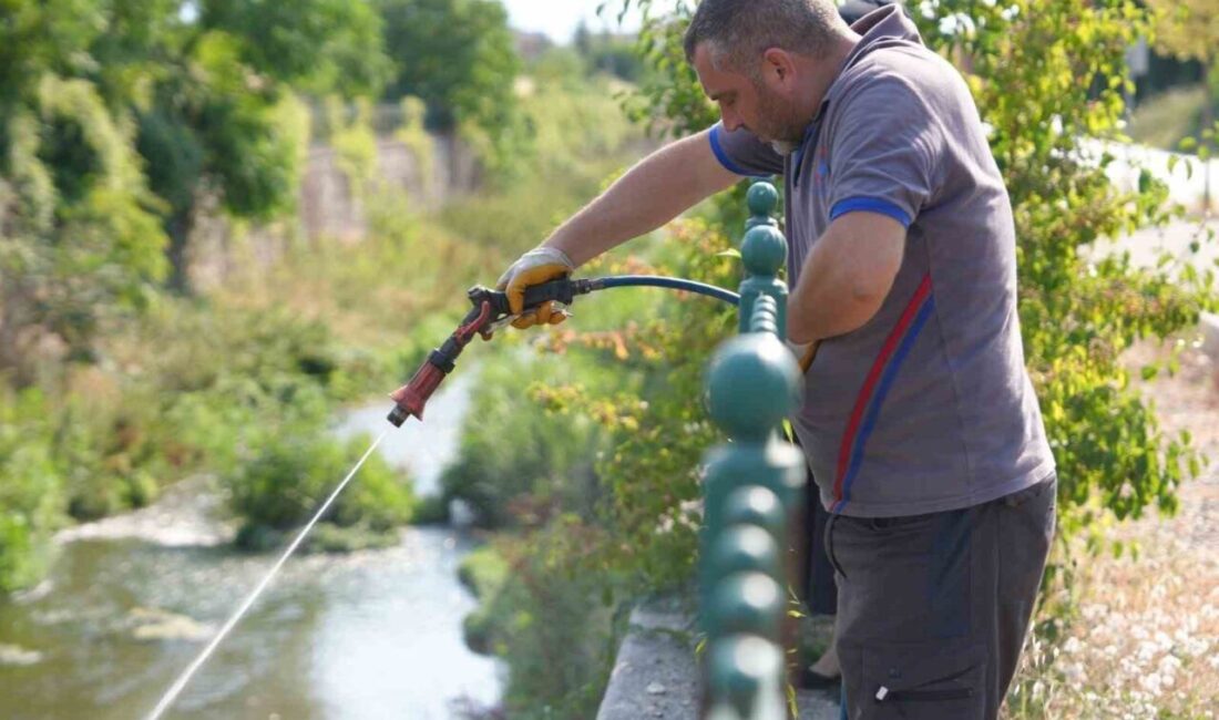 Düzce(İHA) – Düzce Belediyesi, yaz aylarında sulak bölgelerde yaşayan sineklerle,