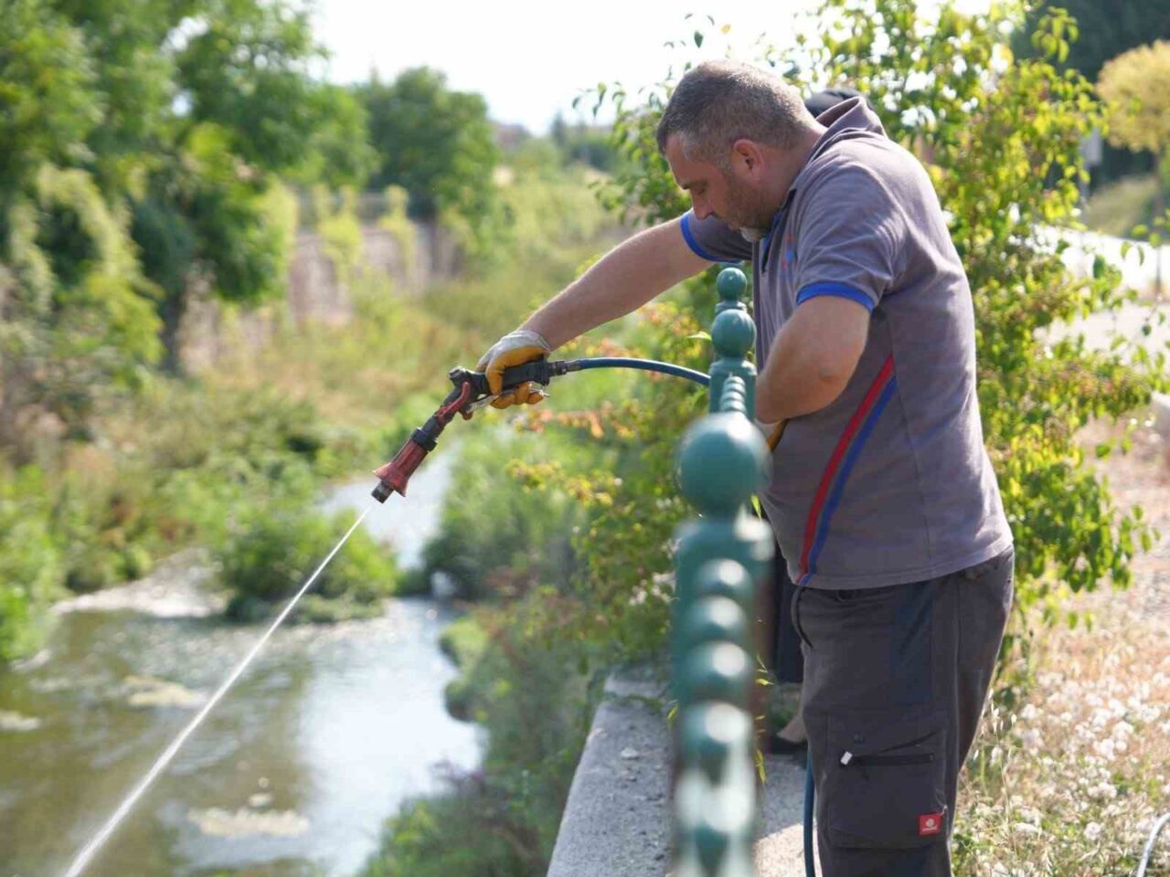 Düzce(İHA) – Düzce Belediyesi, yaz aylarında sulak bölgelerde yaşayan sineklerle,