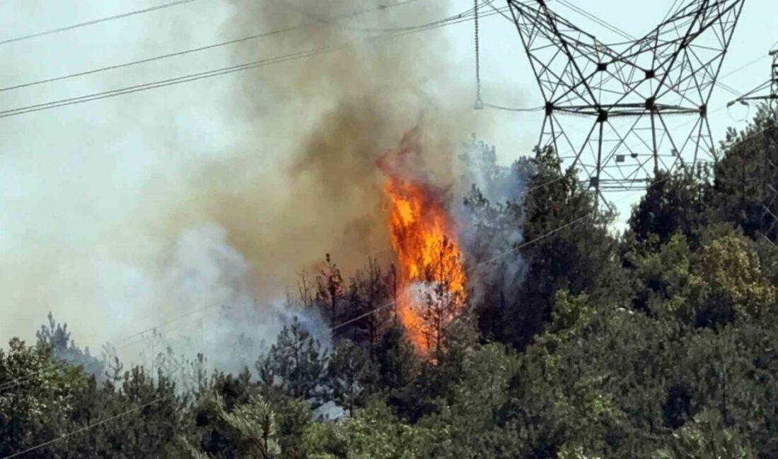 Düzce-Sakarya sınırında ormanlık alanda çıkan yangına ekiplerin müdahalesi sürüyor. Bölgeye