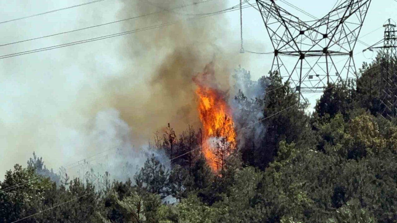 Düzce-Sakarya sınırında ormanlık alanda çıkan yangına ekiplerin müdahalesi sürüyor. Bölgeye