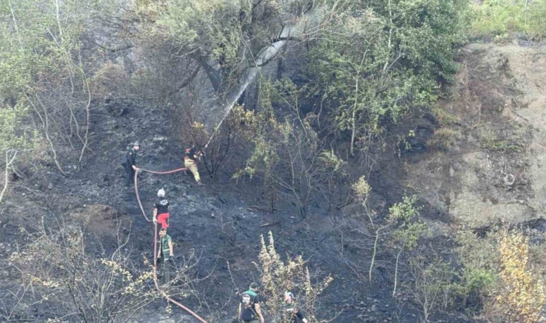 Düzce-Sakarya sınırında ormanlık alanda çıkan yangın, ekiplerin yaklaşık 6 saatlik