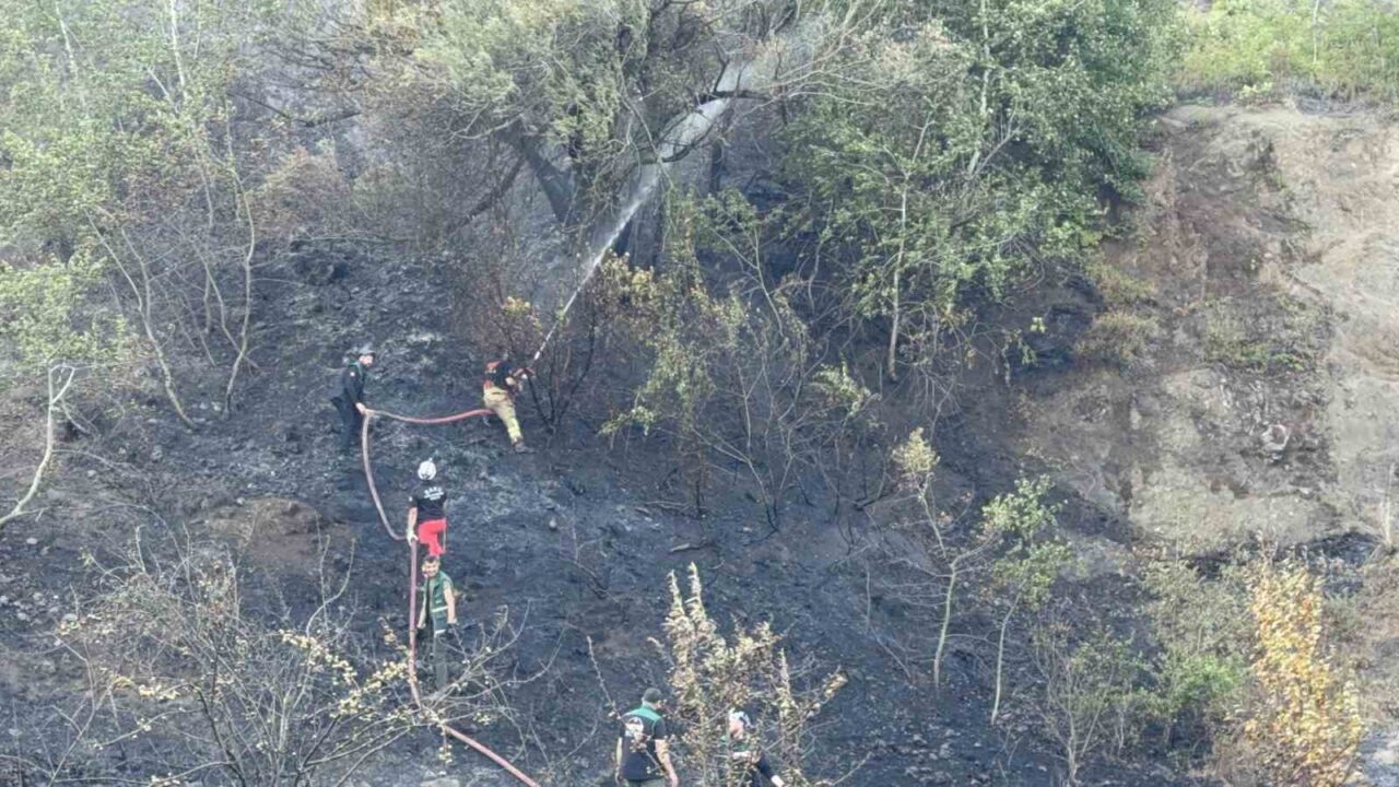 Düzce-Sakarya sınırında ormanlık alanda çıkan yangın, ekiplerin yaklaşık 6 saatlik