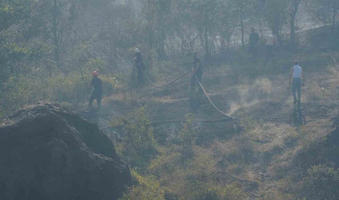 Düzce-Sakarya sınırında ormanlık alanda çıkan yangına havadan ve karadan müdahale